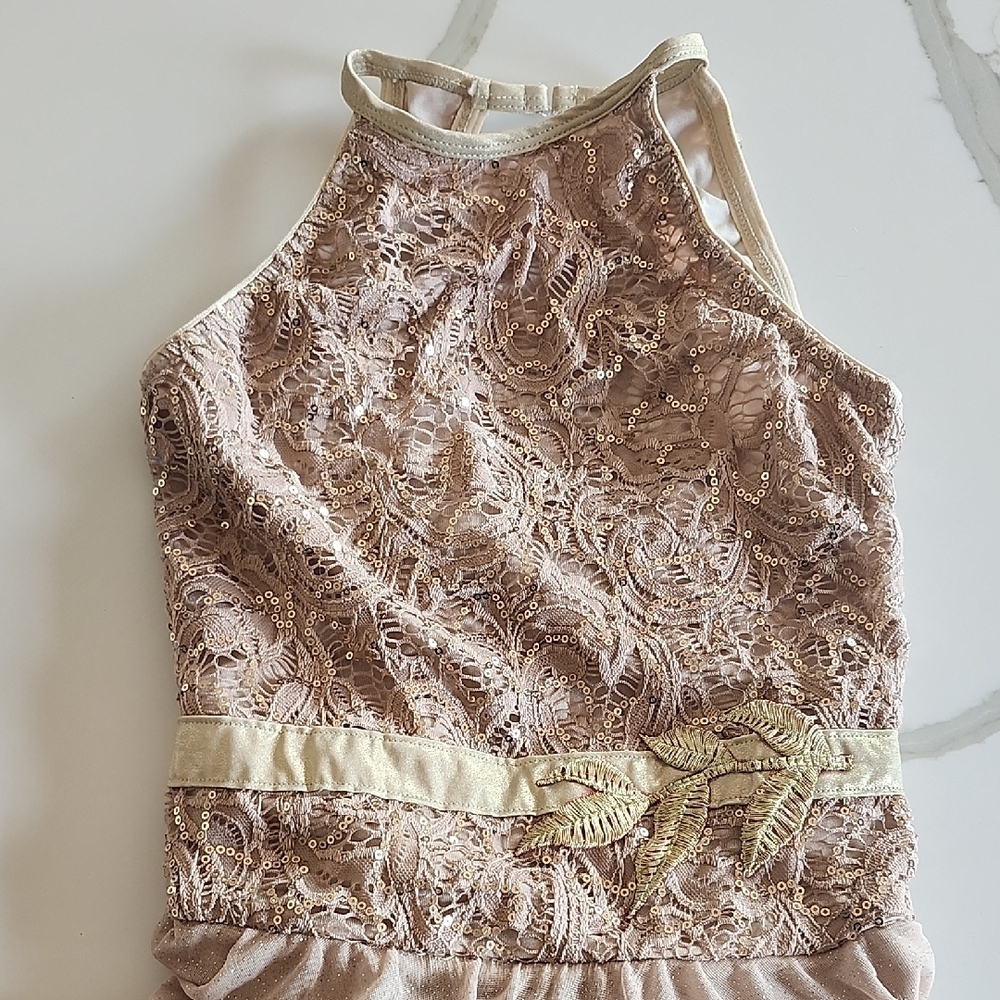 Revolution Beige And Gold Dancewear - Child Large - Picture 4 of 13